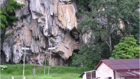 Gua Musang Caves