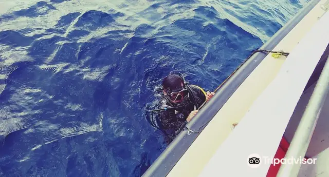 Scuba Diving in Malé