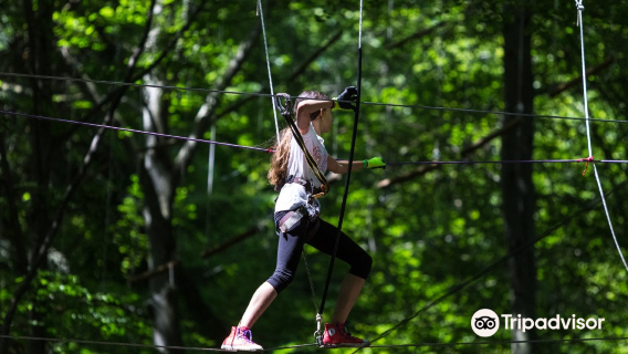 Adventure Park Brasov
