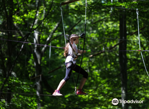 Adventure Park Brasov