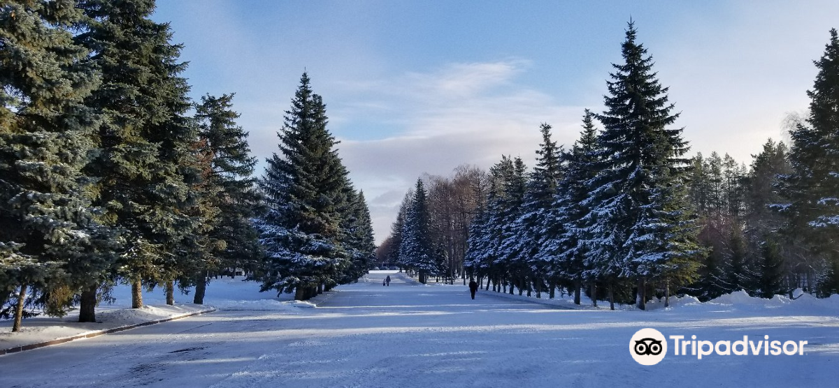 Orenburg to Ufa Flights
