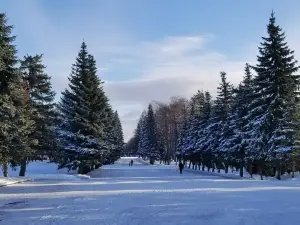 Парк Победы