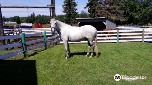 Whitemud Equine Learning Centre Association