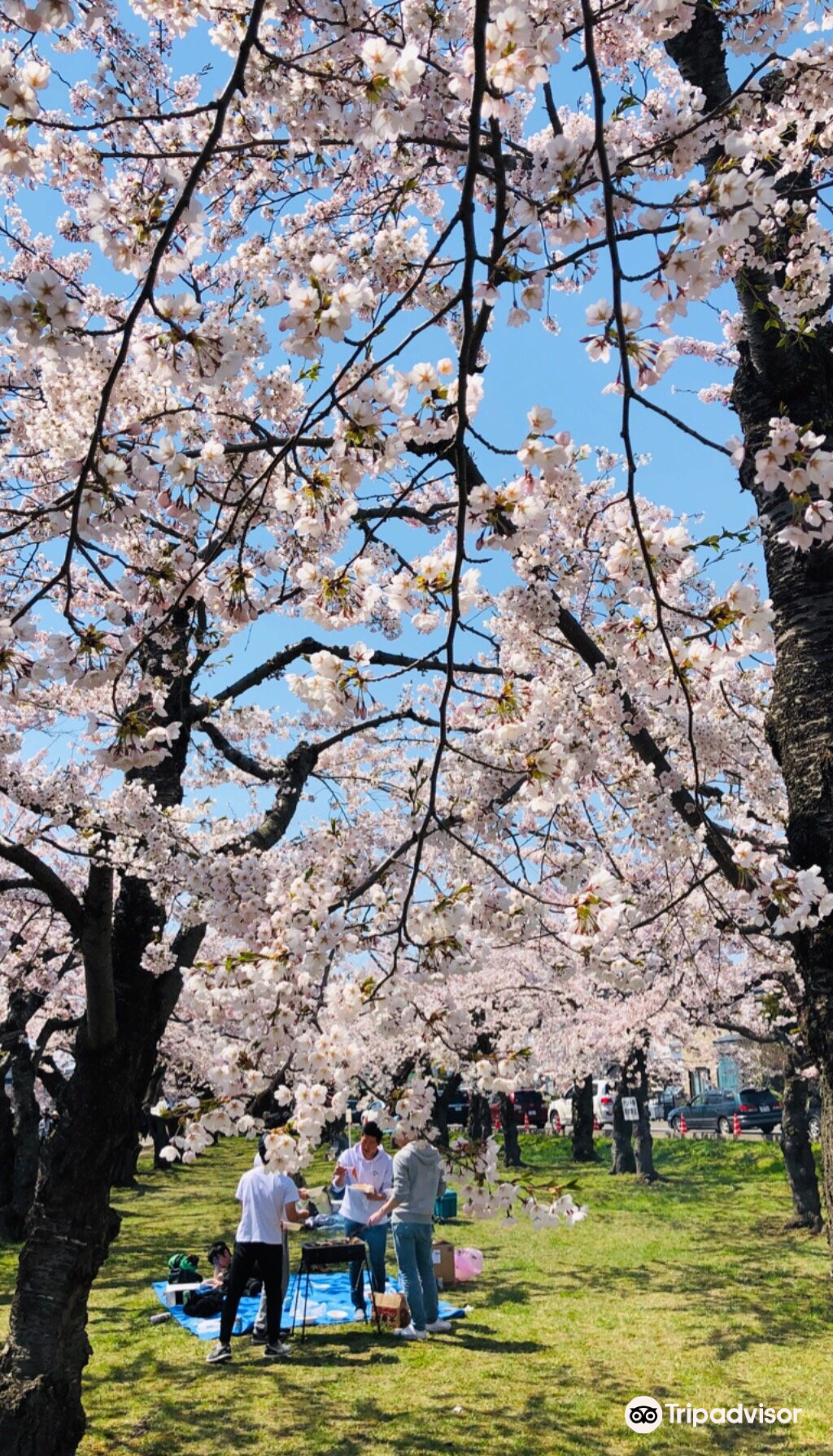 北海道 五稜郭タワー 入場Eチケット（引換券）予約