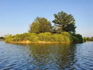 Shelby Farms Park