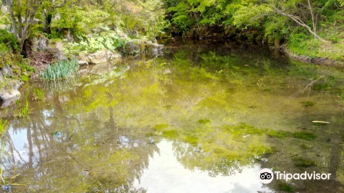 忍野八海 出口池