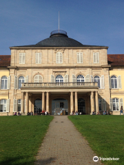 Università di Hohenheim