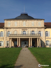 Гогенгеймский университет