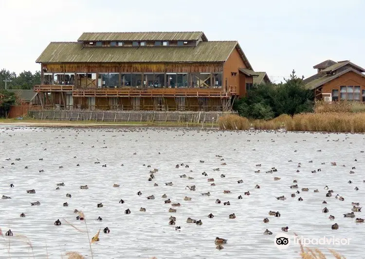 Yonago Waterbird Park