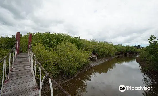 อุทยานสิ่งแวดล้อมนานาชาติสิรินธร