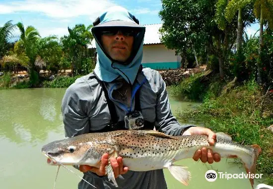 Amazon Giant Fishing Park