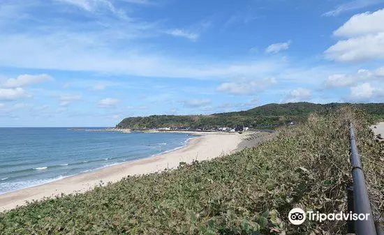 Kotogahama Beach