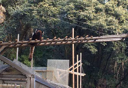 池田動物園