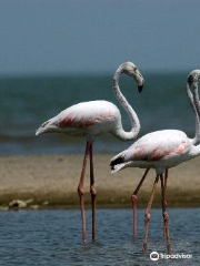 Lake Turkana