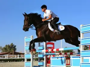 Al Ain Equestrian, Shooting and Golf Club نادي العين للفروسية والرماية والجولف