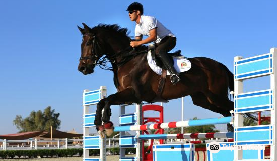 Al Ain Equestrian, Shooting and Golf Club نادي العين للفروسية والرماية والجولف