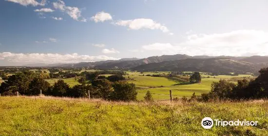 Fensham Bush Reserve