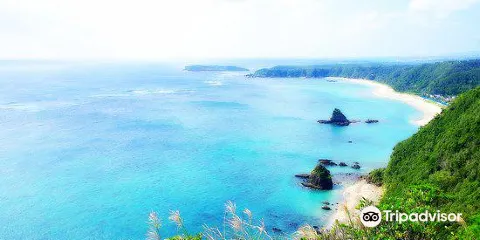Kayo Flight Area