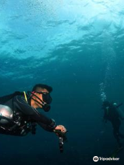 Al Mahara Diving Center