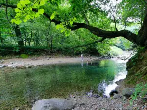 木の俣渓谷と木の俣園地