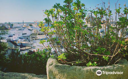 Palace of the Dukes of Medina Sidonia