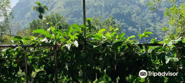 Ella Village View Homestay Hotels in Ella