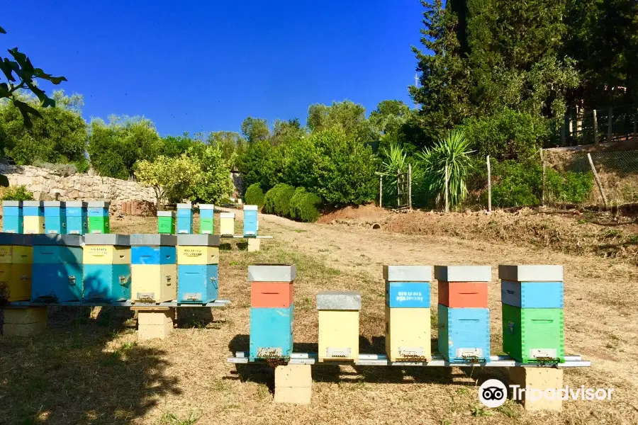 Azienda Agricola Il Lentisco