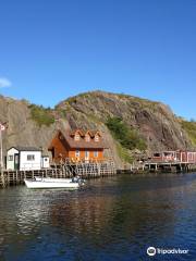 Quidi Vidi 冰山啤酒廠