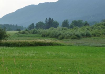 Recurrent Lake of Ledine