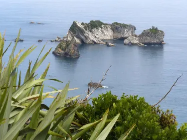 The Great Coast Road