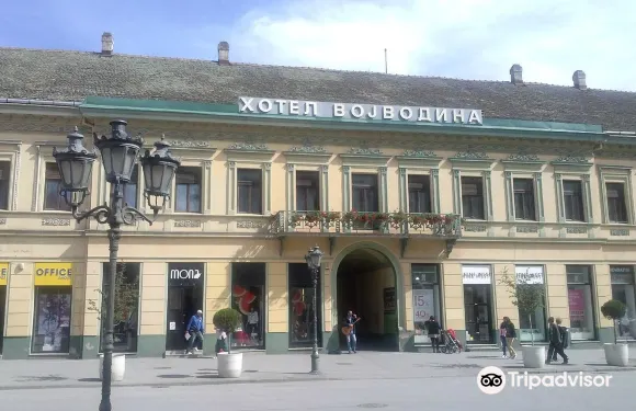 伏伊伏丁那酒店