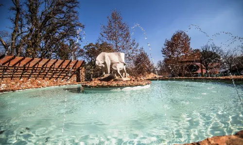 Irene Country Lodge, Autograph Collection®
