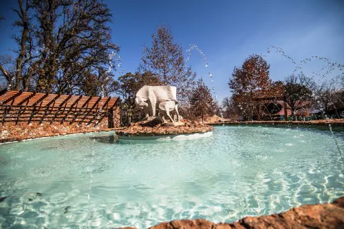 Irene Country Hotel - spa