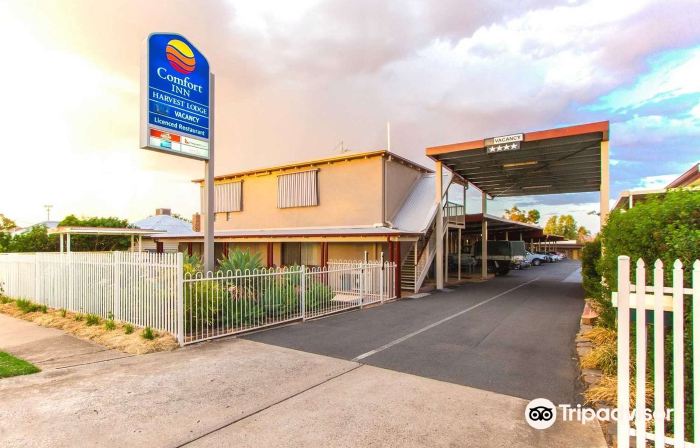 Harvest Lodge Motel - Gunnedah