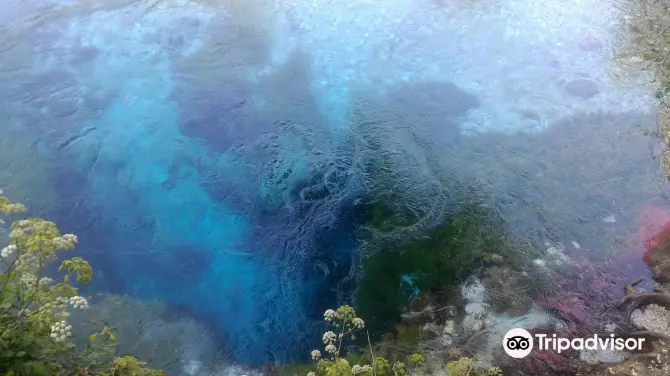 4_藍眼睛泉