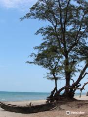 Casuarina Beach