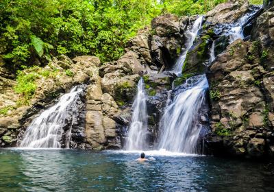 Taveuni Island