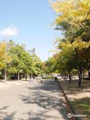 Shirotopia Memorial Park