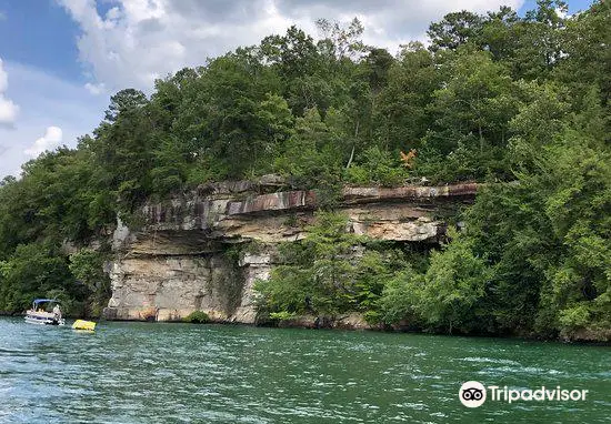 Lewis-Smith Lake & Dam