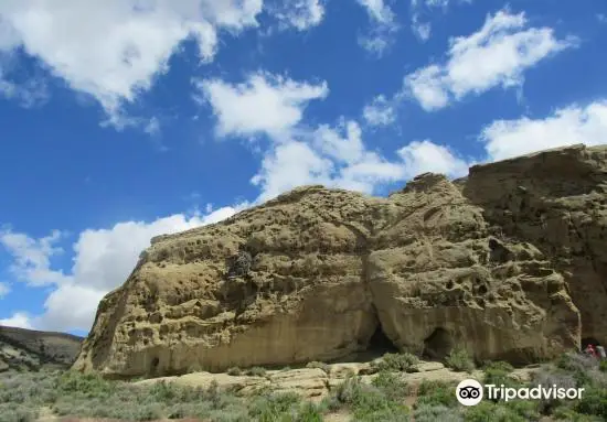 White Mountain Petroglyphs