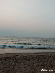 Rajbagh Beach