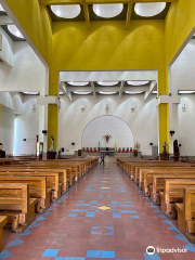 Catedral Metropolitana Inmaculada Concepcion de Maria