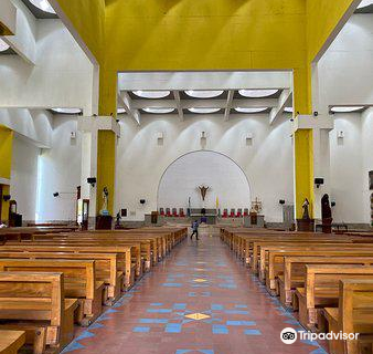 Metropolitan Cathedral of the Immaculate Conception