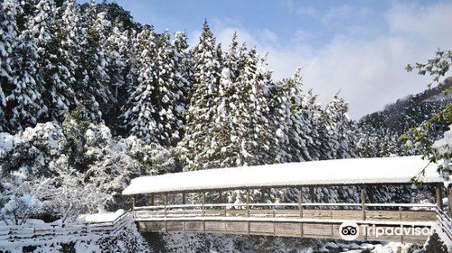 Yanetsuki Covered Bridge - Roman Yatsuhashi