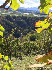 LasteRosse azienda agricola e cantina Preziosi vini di montagna. Viticoltura eroica in Val di Non. Mele di montagna.