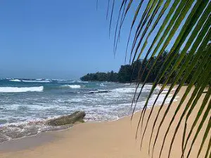 Punta Uva Beach