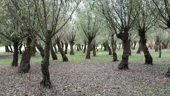 Kartal Eco Park