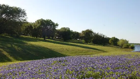 McCown Valley Park