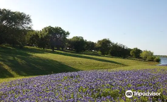 McCown Valley Park