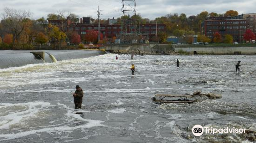 Fish Ladder Park